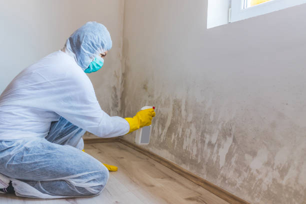 Licensed Mold Inspection service in Lusby, MD - WQB Mold Removal