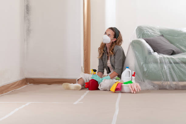 Reliable Mold Inspection contractor in Lusby, MD by WQB Mold Removal